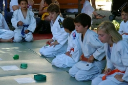 16juin2012-judo-peyruis11.jpg